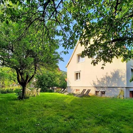 Rooms 4 Persons Kaysersberg ภายนอก รูปภาพ